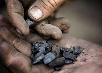 Biochar on the palm of a hand