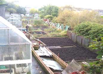 Allotments