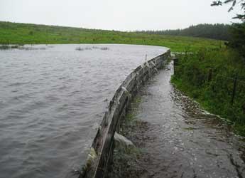 Natural flood defences used on the Belford Burn