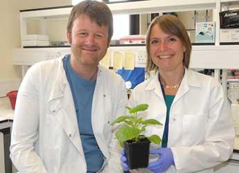 Photograph of Edgar Huitema and Jorunn Bos in the laboratory