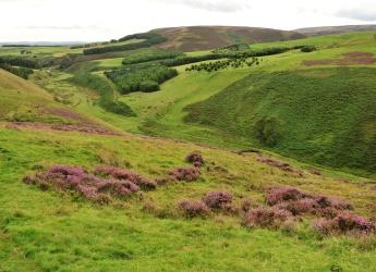 Glensaugh farm is the site of a Natural Capital Protocol pilot