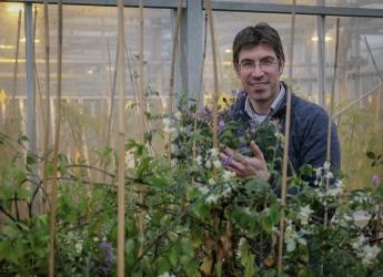 Dr Ingo Hein, based within the Institute's Dundee site