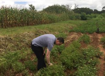 Quikgro trial plots in Zomba, Malawi