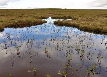 Peatlands play a key role in storing much of the UK's soil carbon