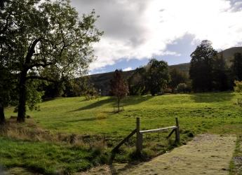 Falkland forest, Fife (c) James Hutton Institute