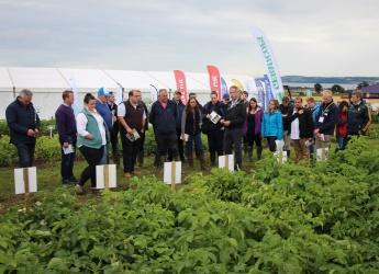 Visitors at Potatoes in Practice 2016 (c) James Hutton Institute