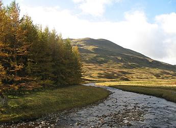 River Almond - geograph.org.uk - 598693.jpg