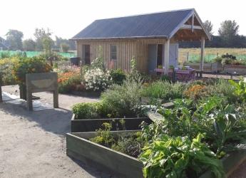 Tarland community garden