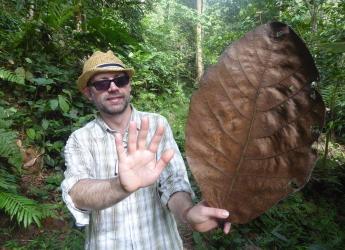 Dr Tim George, UK coordinator of Fascination of Plants Day (c) James Hutton Inst