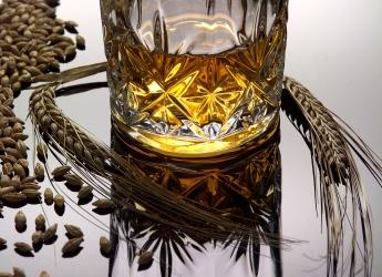 Whisky research from land to bottle (c) James Hutton Institute