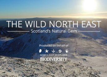 Screenshot of The Wild North East: Scotland's Natural Gem film