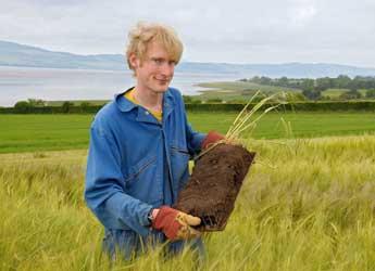 PhD student at work in a barley field