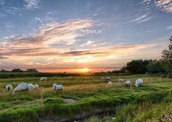 Community Landowners 