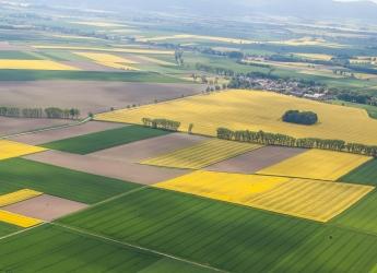 Harvest fields in Poland (Marius Szczygiel/Shutterstock.com)