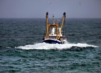 Image of a fishing boat