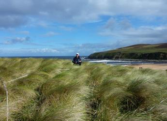 Surveying sand dune systems to understand the role of global change.