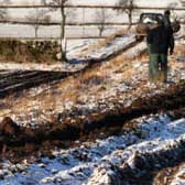 Photograph of farm staff planting the new hedge