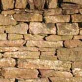 Photograph of a new drystane dyke