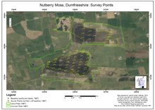 Nutberry Moss and Dornock Flow, Dumfriesshire: Survey Points; Scottish Peat Survey sites, Scottish Peat Committee and Macaulay Institute for Soil Research