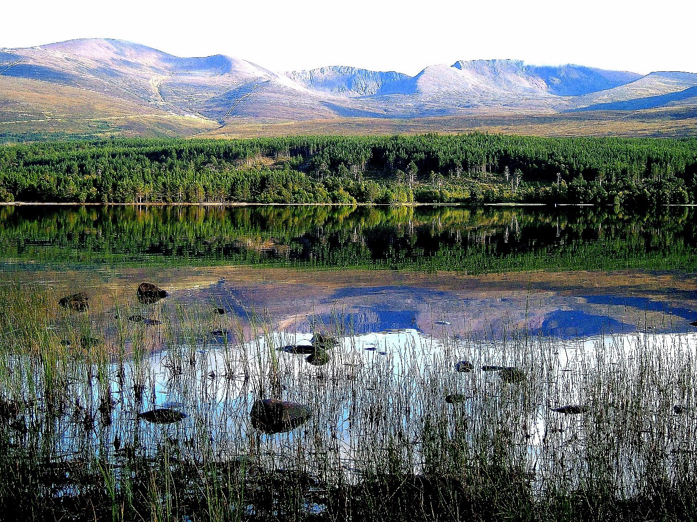 Loch Morlich (c) James Hutton Institute