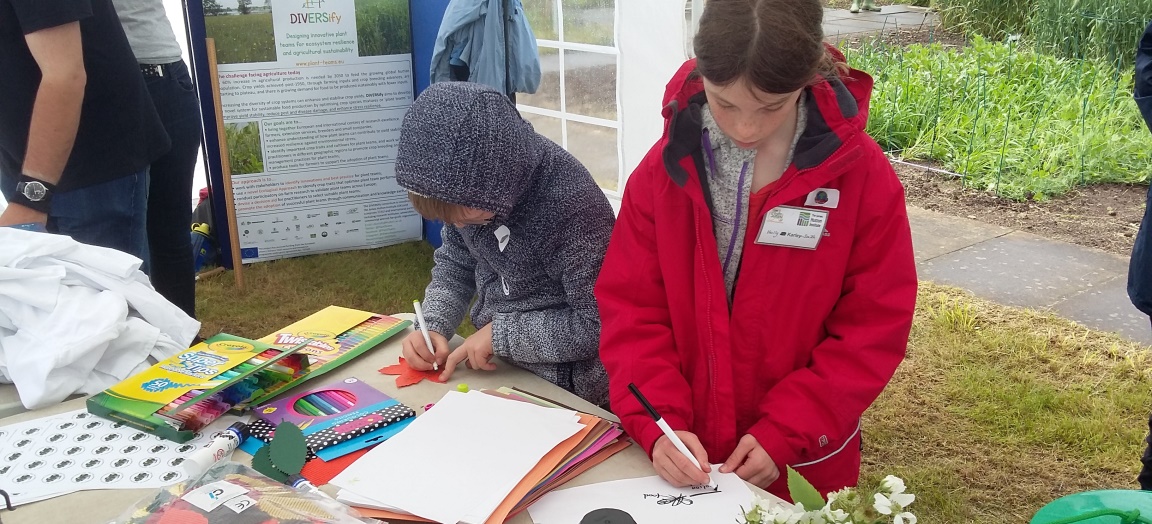 Busy activity trail during Open Farm Sunday (c) James Hutton Institute