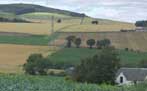 Photograph of fields and hills