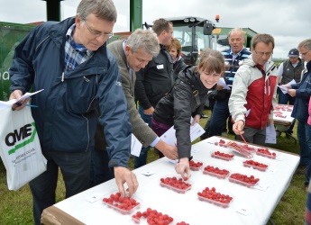 Fruit for the Future is the Institute's long-running soft fruit themed event