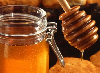 Honey (By Scott Bauer, USDA ARS [Public domain], via Wikimedia Commons)