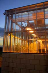 Photograph of a glasshouse at dusk on the Dundee site