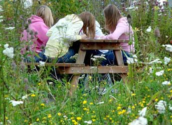 Photograph of children sitting in The Living Field community garden