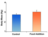 Figure 2B - The effects of food addition on body mass