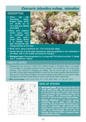 Lichen guide sample page