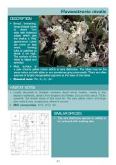 Lichen guide sample page