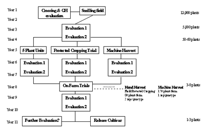 Figure 1: Institute Raspberry Breeding Programme