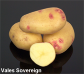 Photograph of Vales Sovereign potatoes