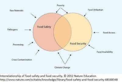 The interrelationship of food safety and food security.Copyright 2012 Nature Education. http://www.nature.com/scitable/knowledge/library/food-safety-and-food-security-68168348