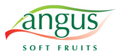 Angus Soft Fruits