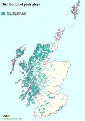 Distribution of peaty gleys