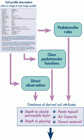 Flow pathways of data and information